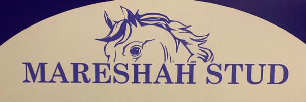 MareshahStud Profile Banner