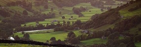 OAladesanwa Profile Banner