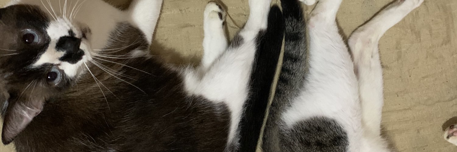 n a t ã banner