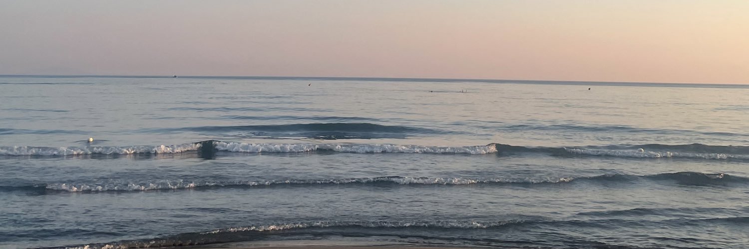 merinpops's profile banner image