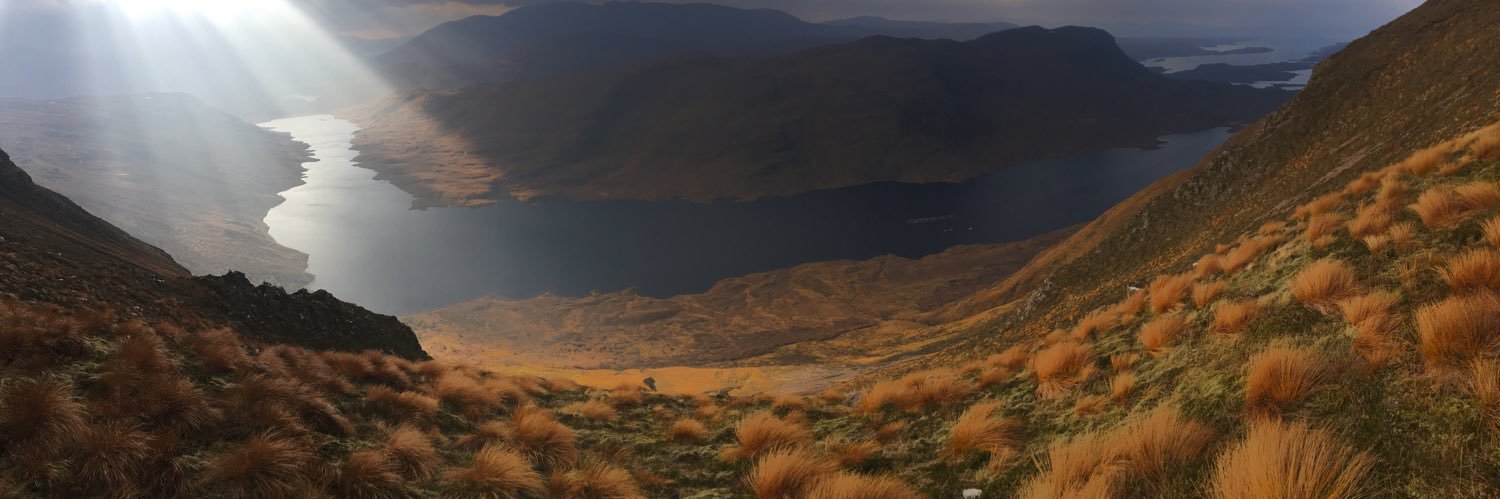 LWilkesFCDO's profile banner image