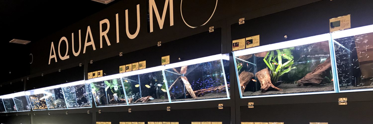 Mickey&Gon新座店　アクアリウム＆エキゾチック banner