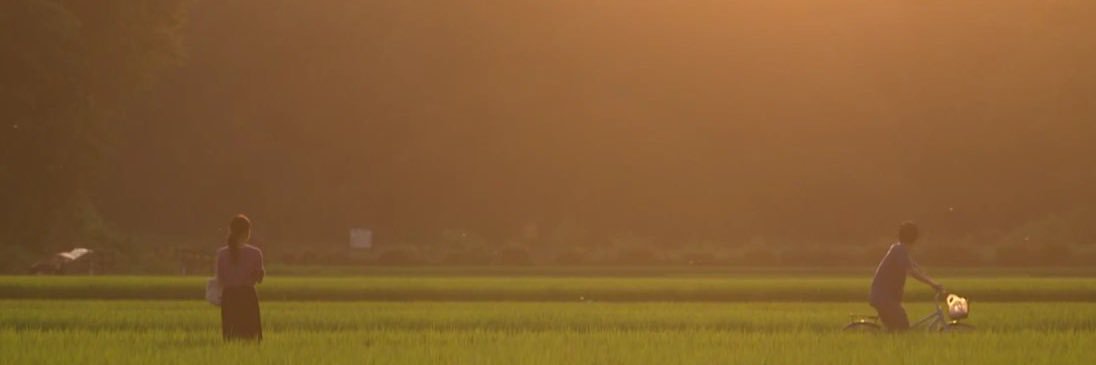 あおんぴ banner