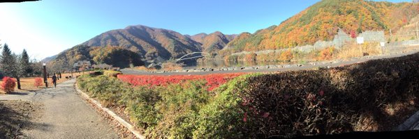 ws_wsan Profile Banner