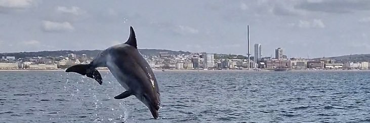 Lloyd_Gofton's profile banner image