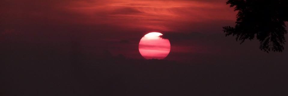 wilmary_FM's profile banner image