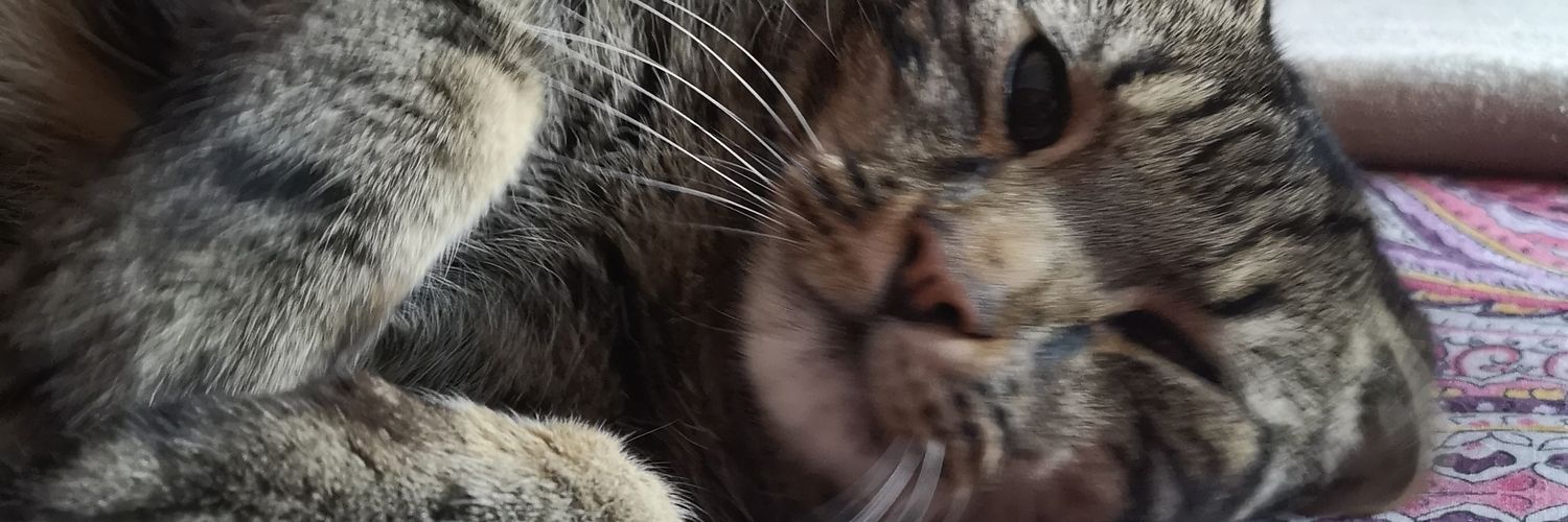 redgeorgi's profile banner image