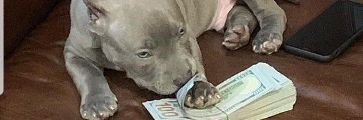 Var_tilandeng's profile banner image