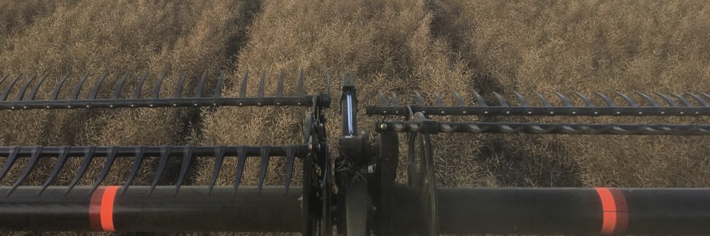 Alexander Schierholz-Prilop banner