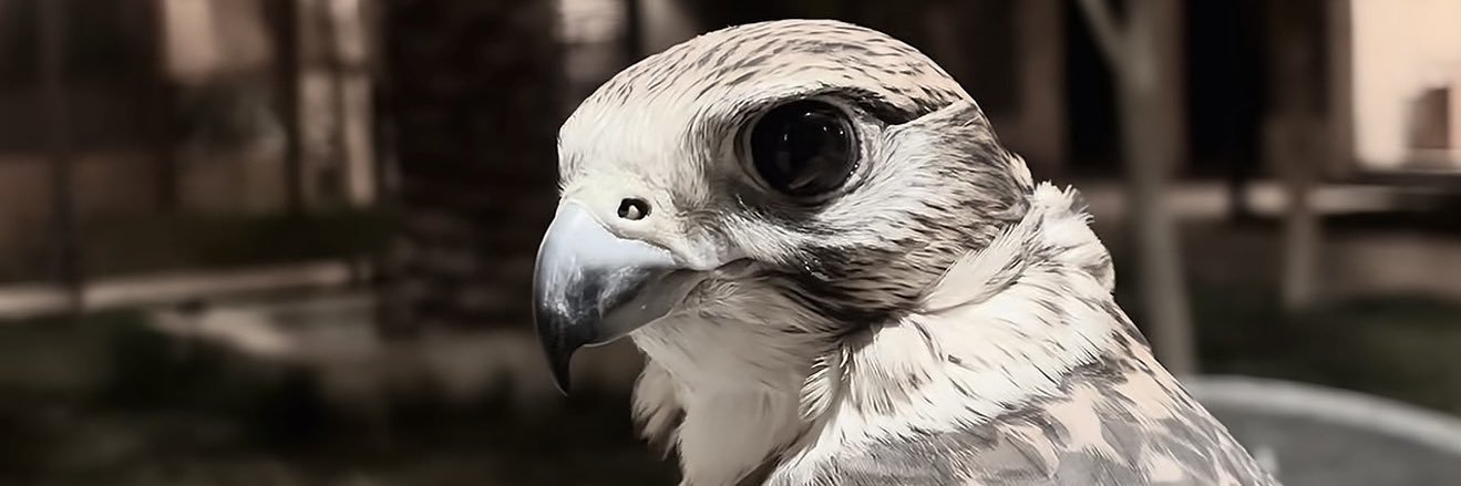 AM banner