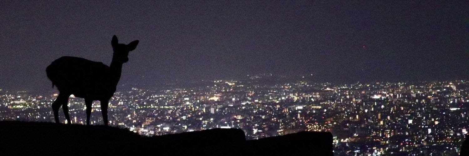 Tom8trees's profile banner image