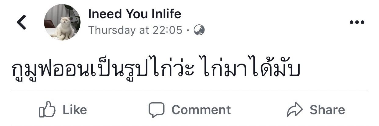 พิชชั่น banner