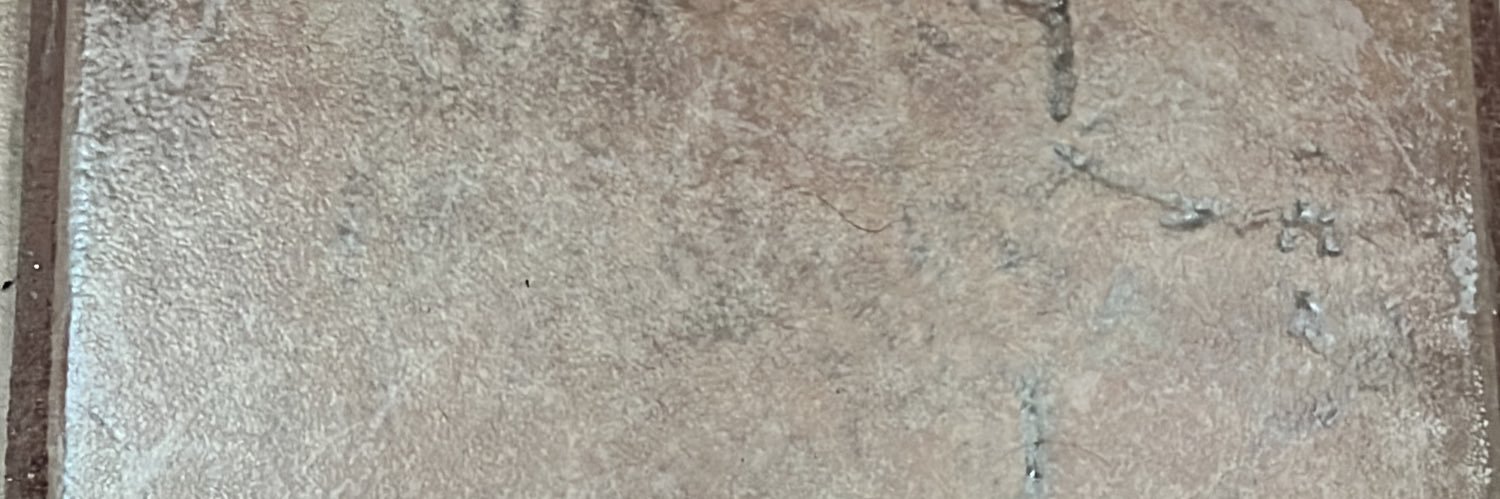 lcesarz's profile banner image