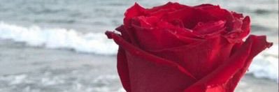 WNouf553's profile banner image