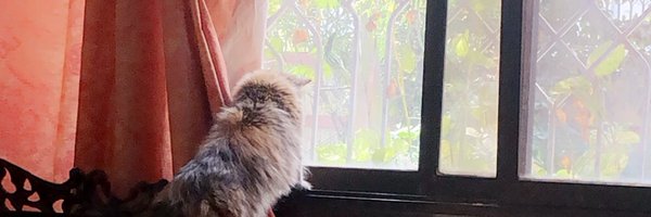 areebxh Profile Banner