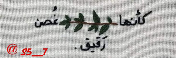 S5___7 Profile Banner