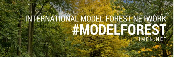 modelforest Profile Banner