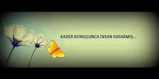 mhmtagca's profile banner image