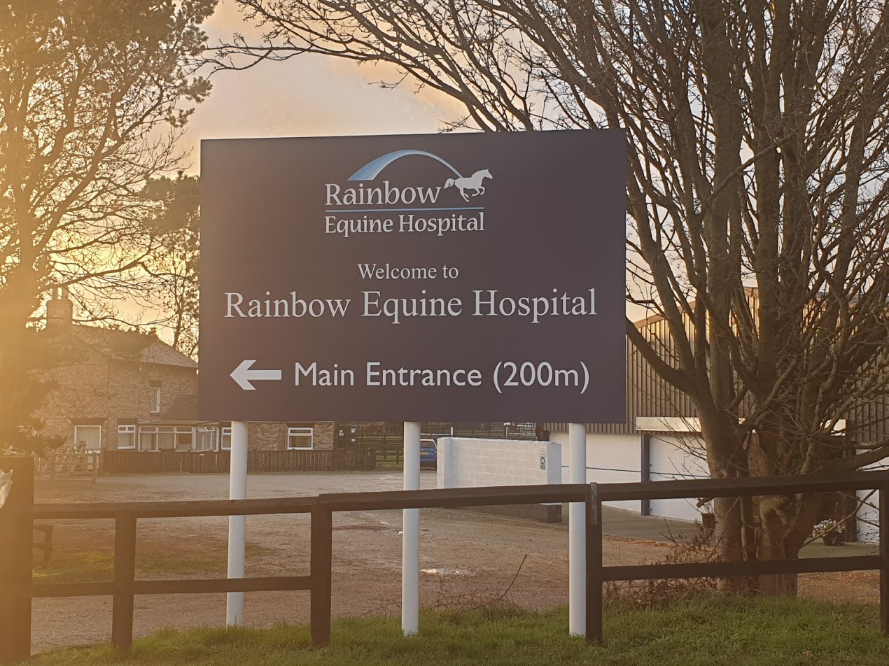 Rainbow Equine Hospital banner
