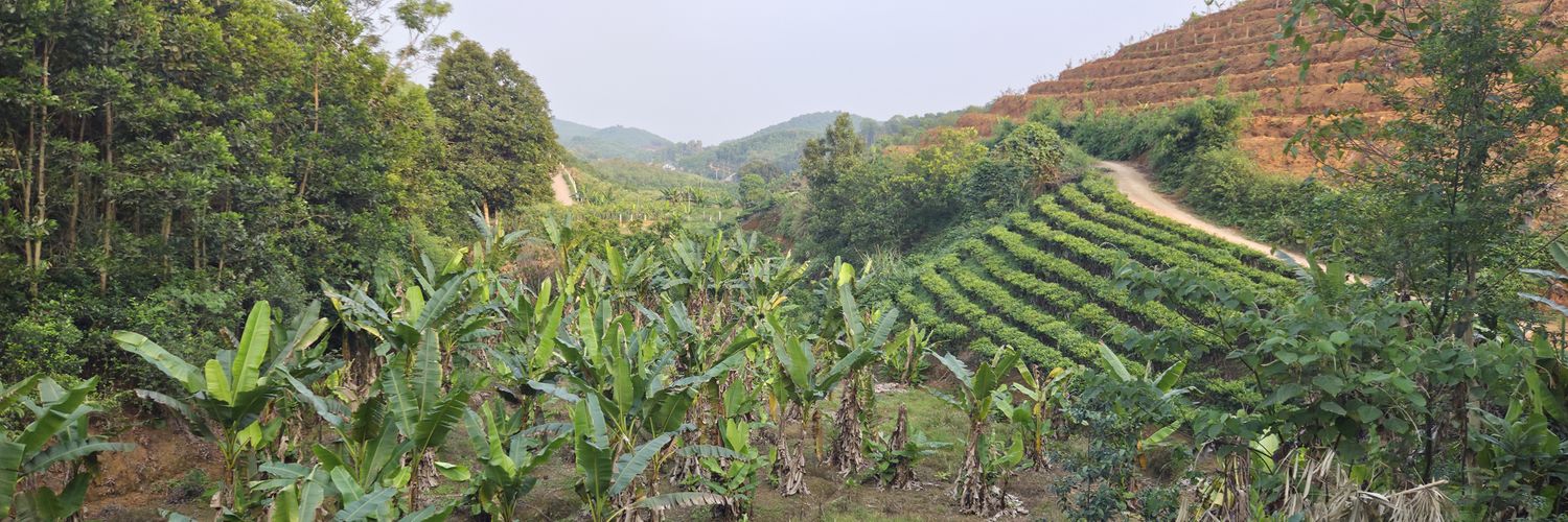 🇰 🅰️ 🇩 🇺 banner