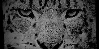 agungriyansyahh's profile banner image