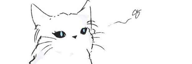 burauto's profile banner image