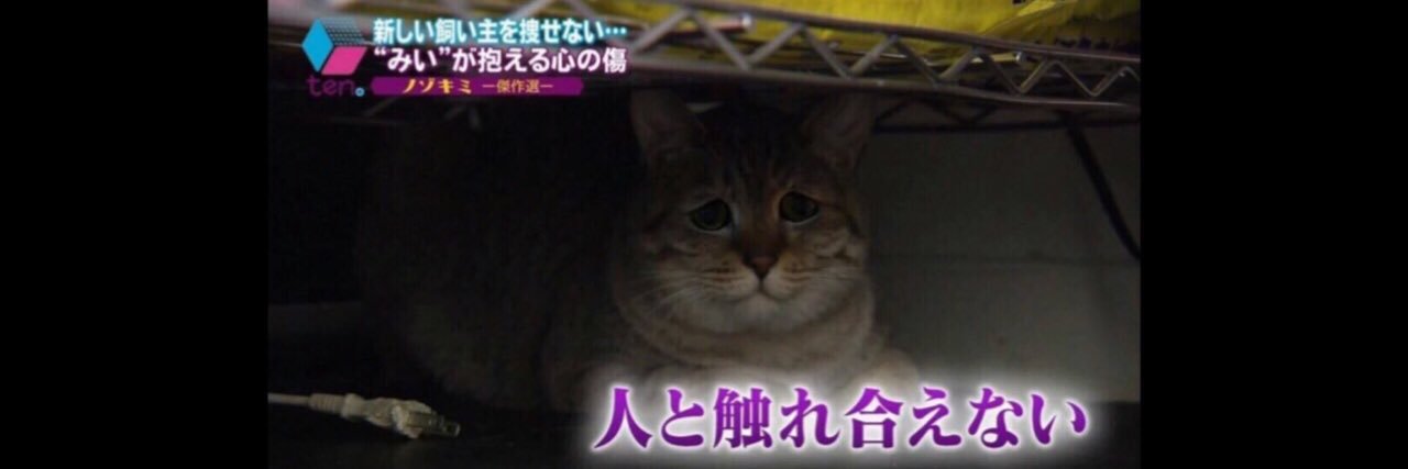 B00000_M's profile banner image