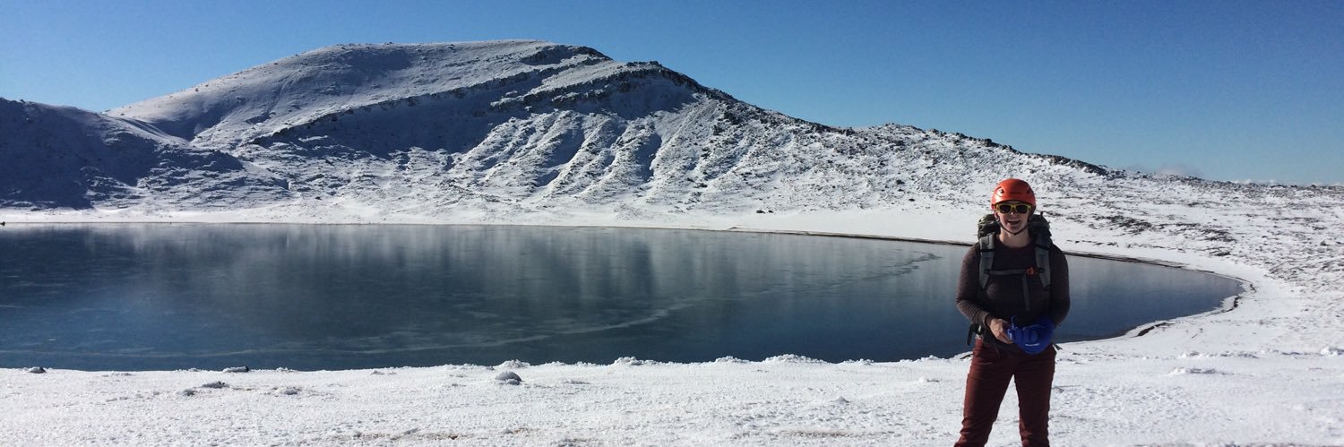 Brittany Miller, PhD banner