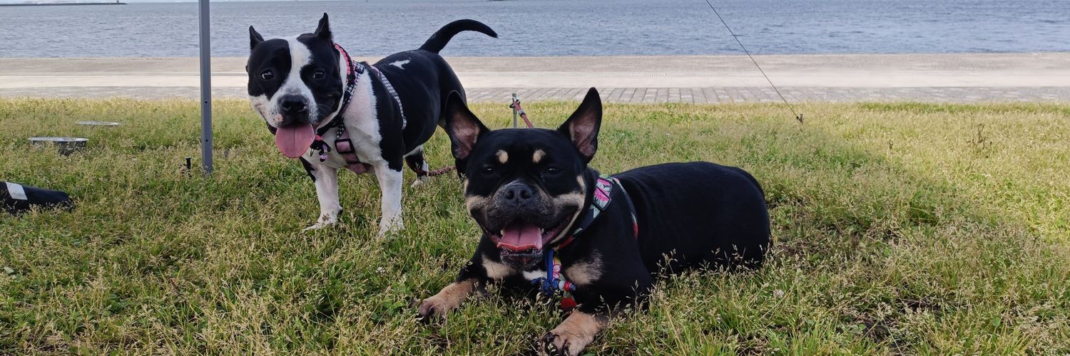 まなみにー banner