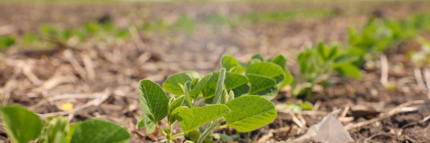 SyngentaUS's profile banner image