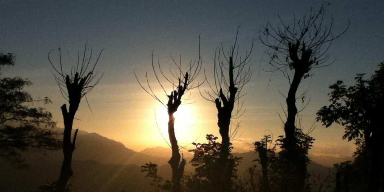 theweyes's profile banner image