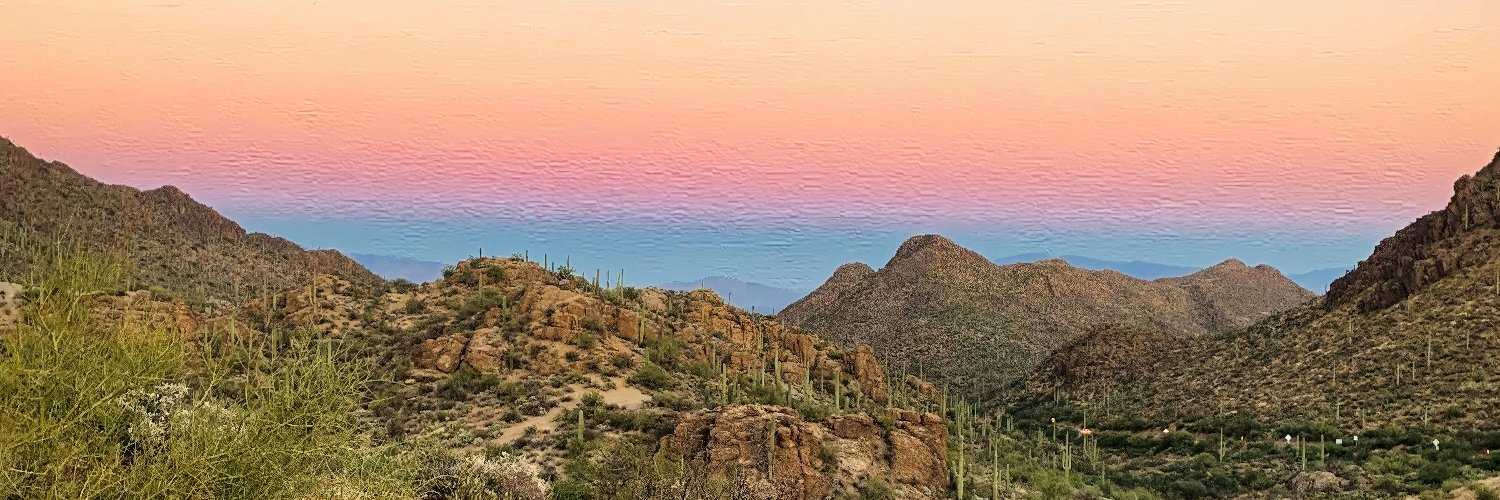 DaughterofPalms's profile banner image