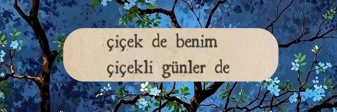 Ilayda Ecem banner