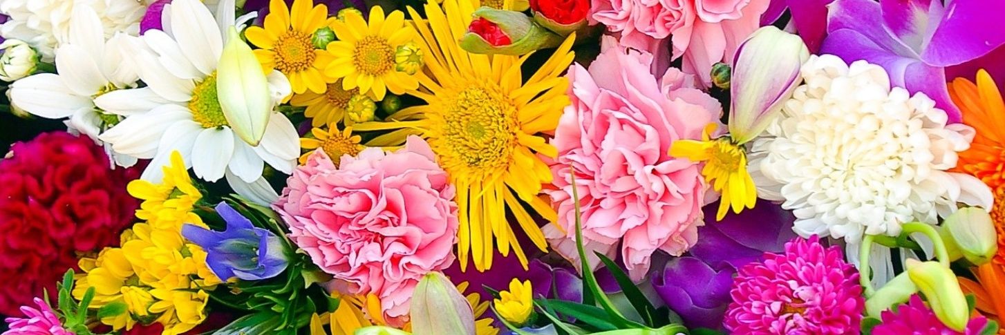 ぽめらにまん banner