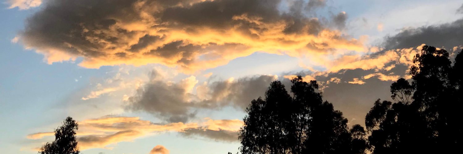 albadmr98's profile banner image