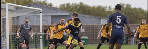 lisbiek Profile Banner