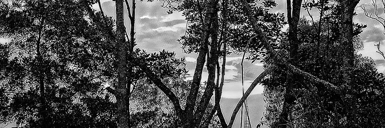 LiKaiman's profile banner image