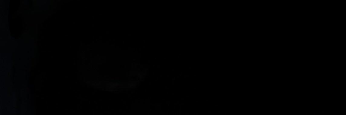 carmeedaporta's profile banner image
