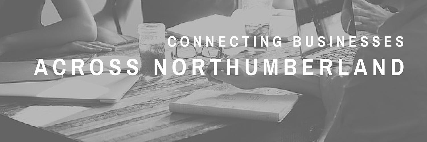 N'Land Networking banner