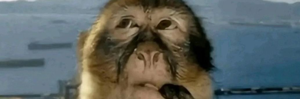 fraise tagada 🍓#younghoe banner