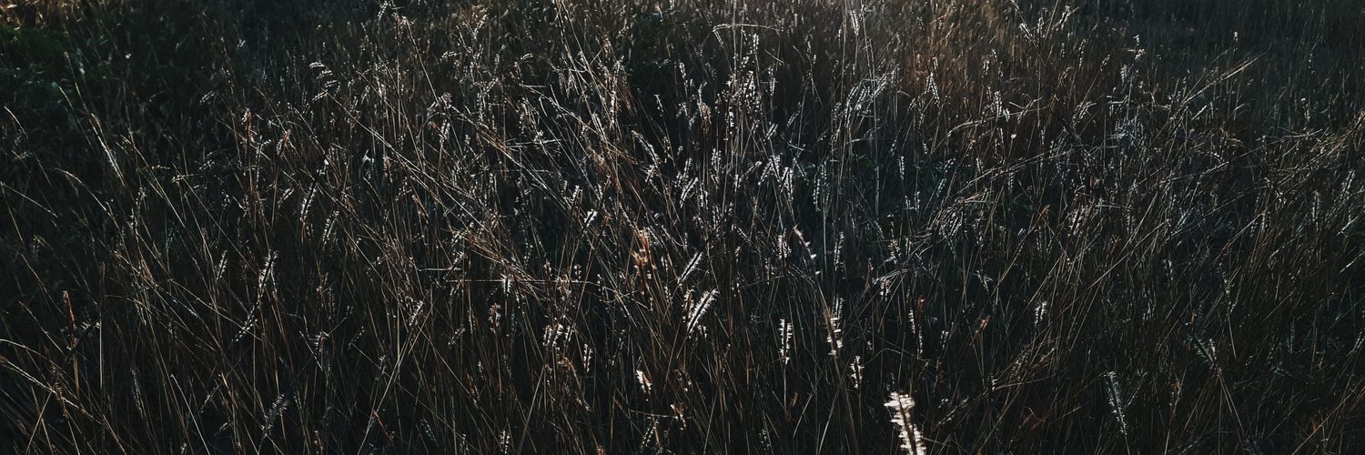 ChaAoomm's profile banner image