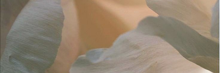 Giuli Filipponi banner