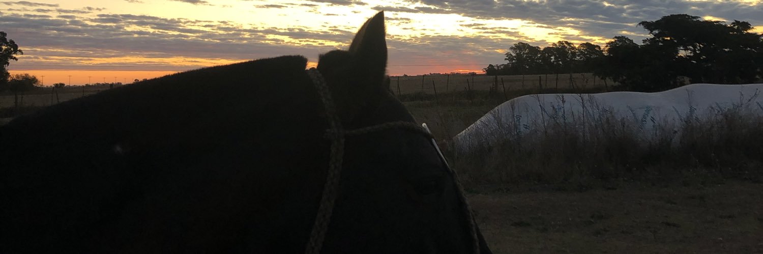 Bauuu_lanf's profile banner image