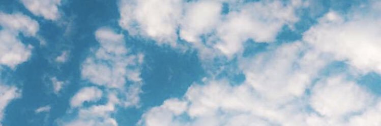 mona_14183's profile banner image
