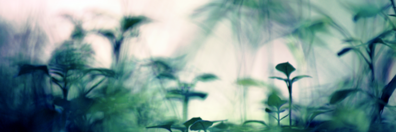 TimsMints's profile banner image