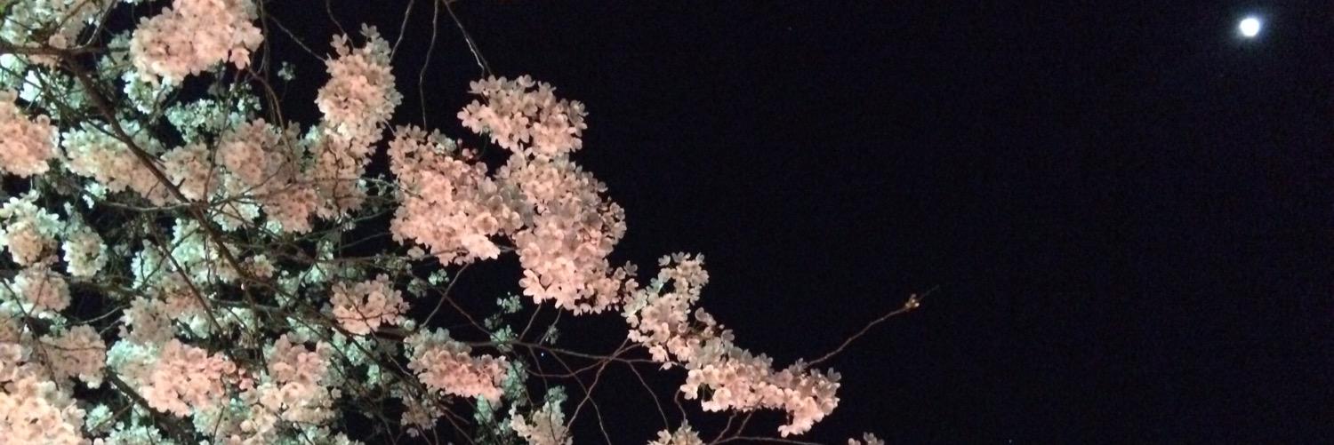 makiaura's profile banner image