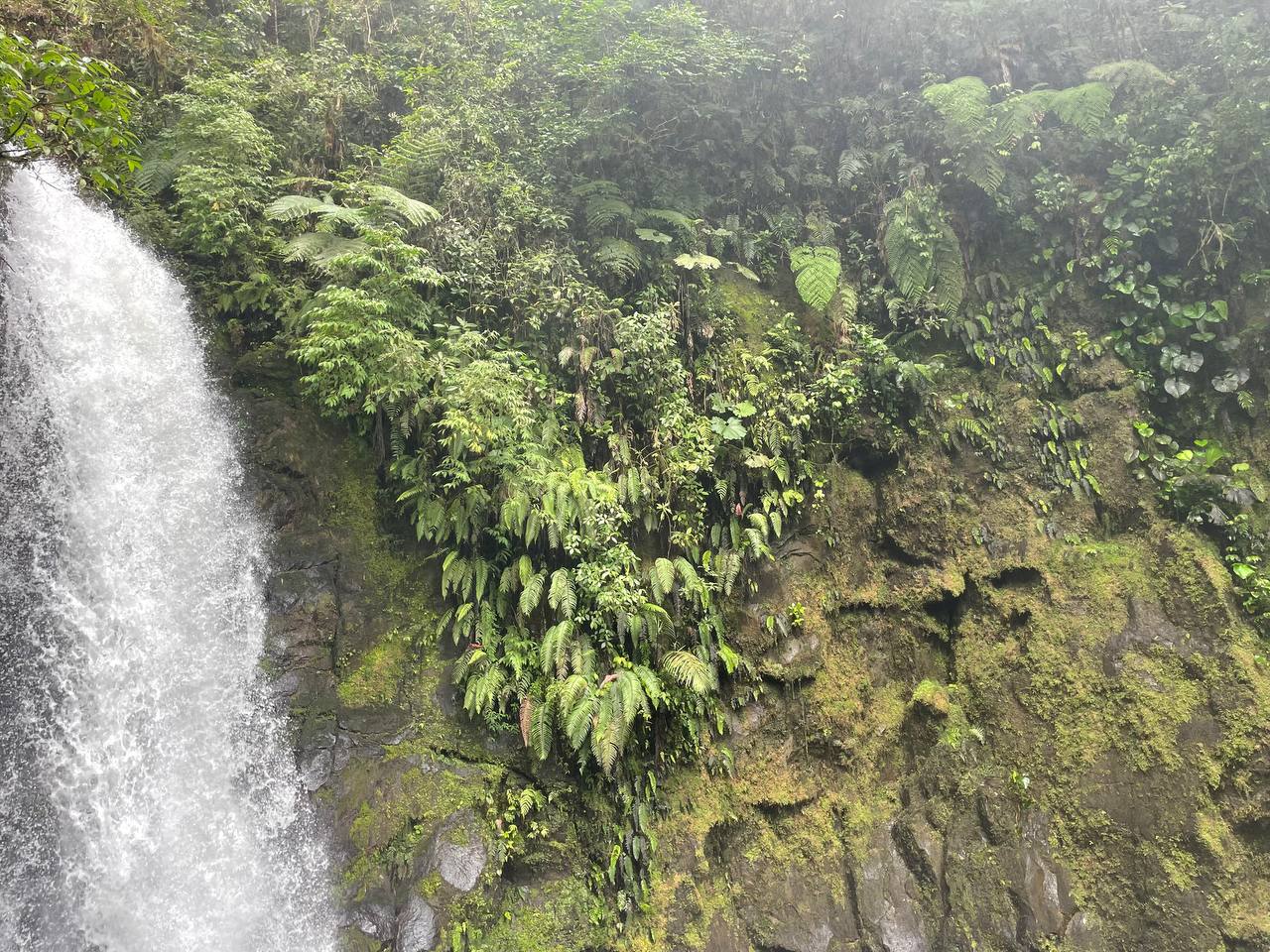 David Roberts banner