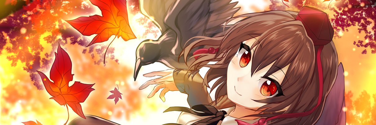 Shameimaru Aya 的个人资料封面