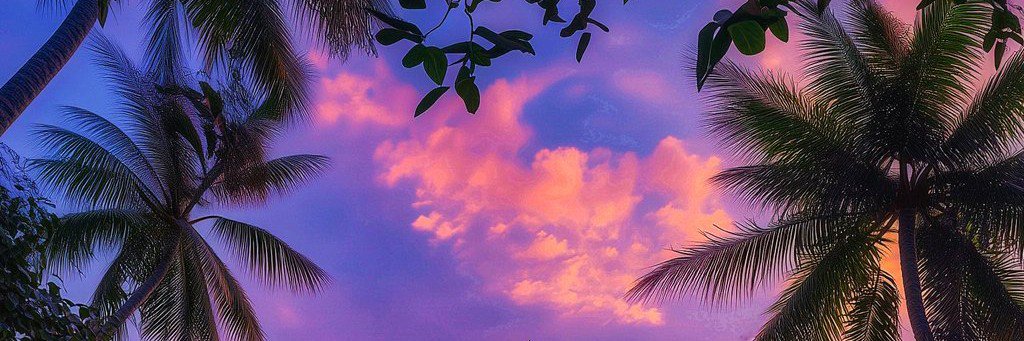 Fatenn_1977's profile banner image