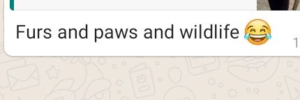 FursNdPaws's profile banner image